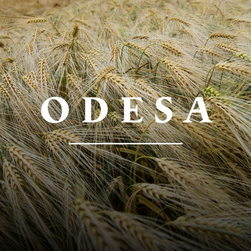 Odesa