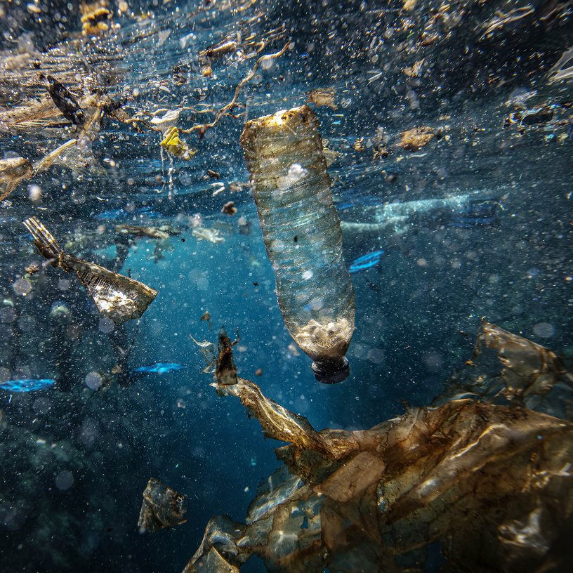 The great Pacific garbage patch