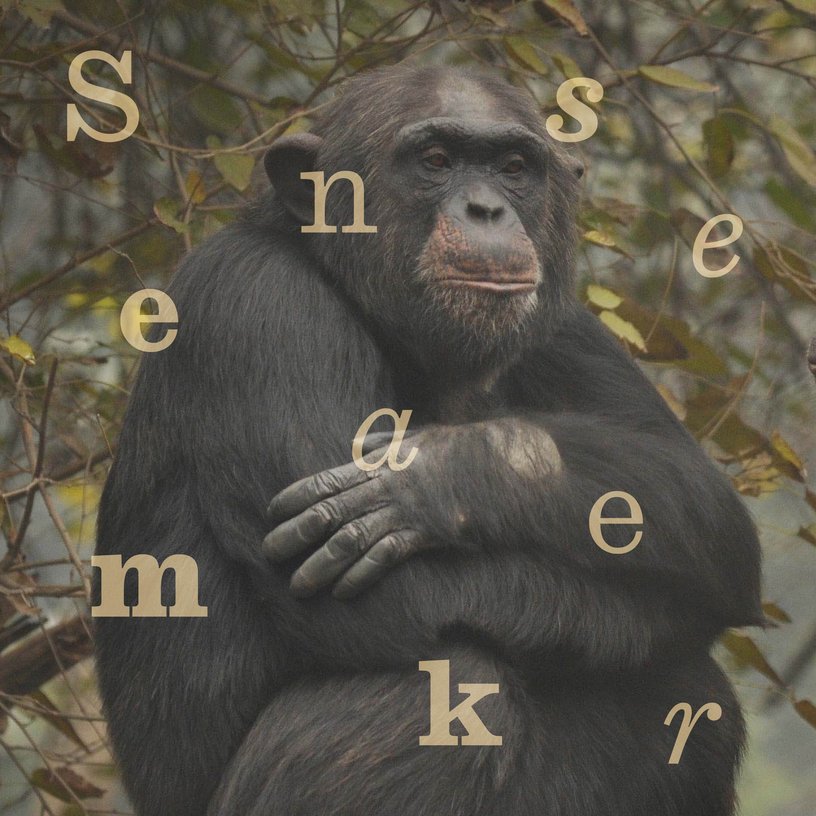 India’s Noah’s Arc