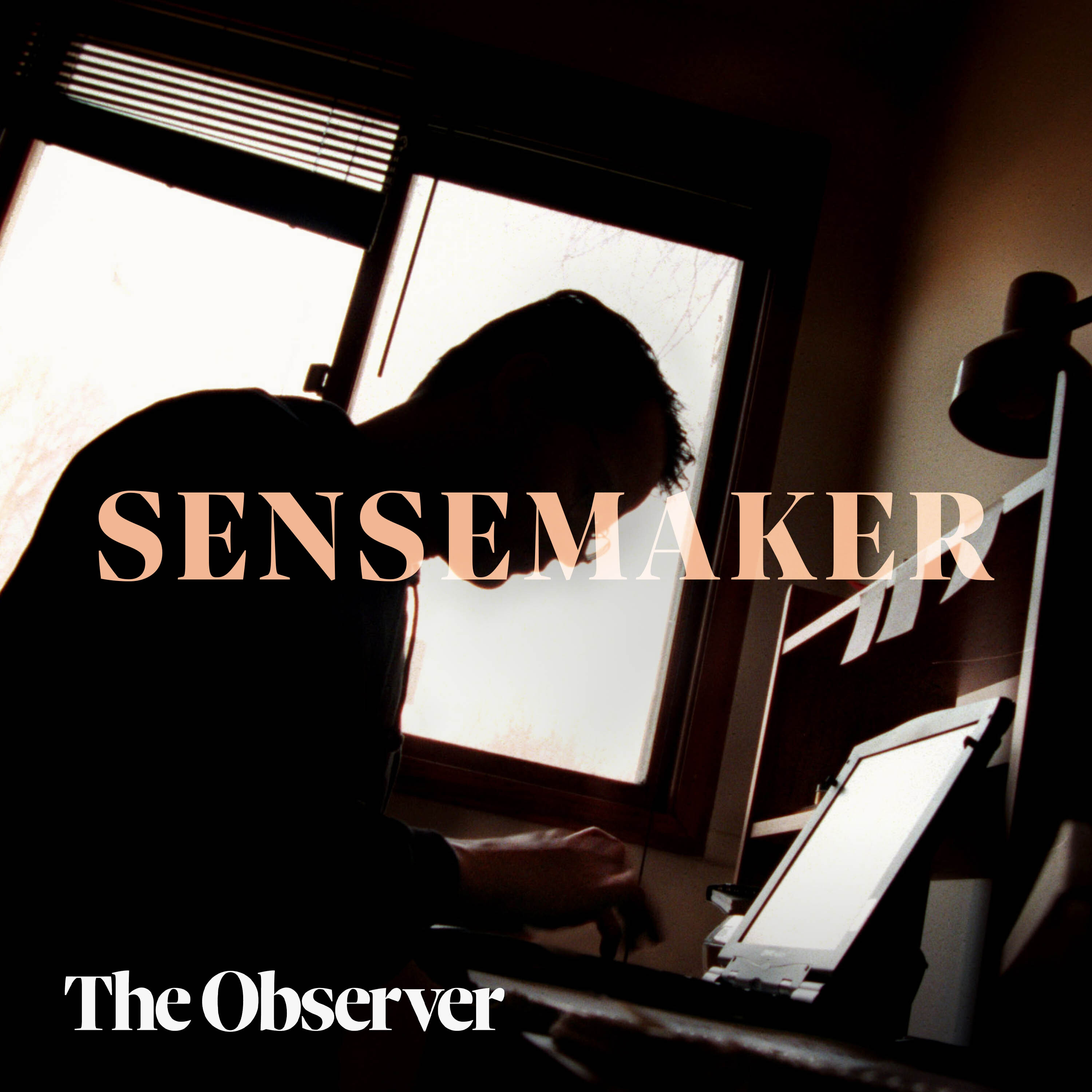 Daily Sensemaker
