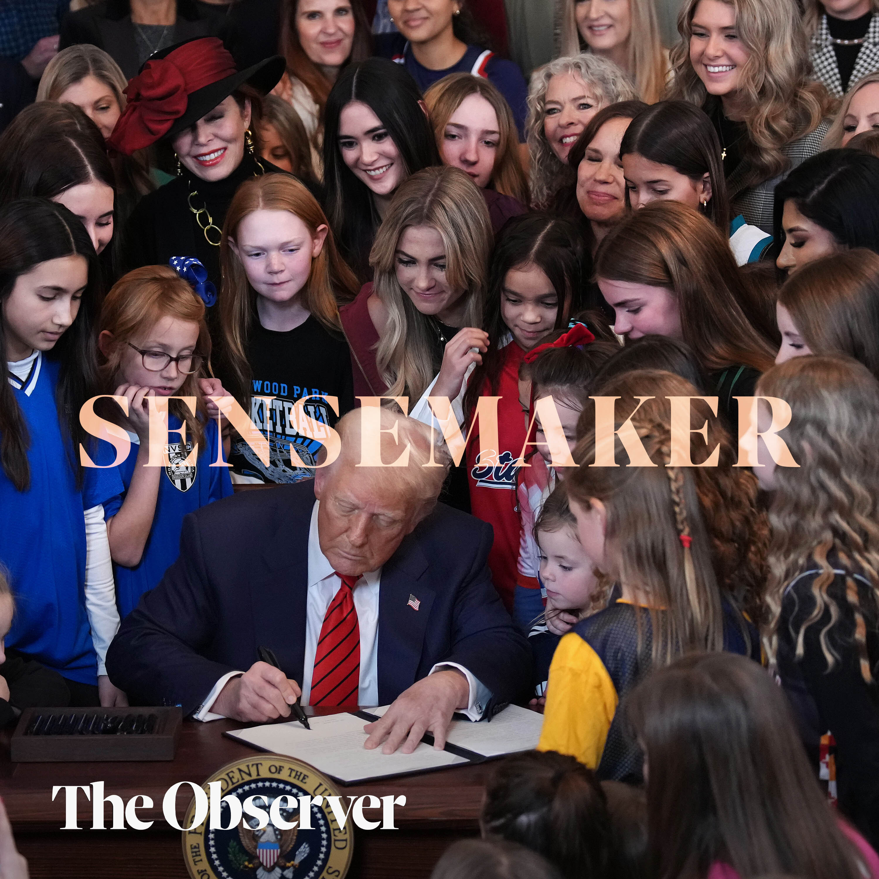 Daily Sensemaker