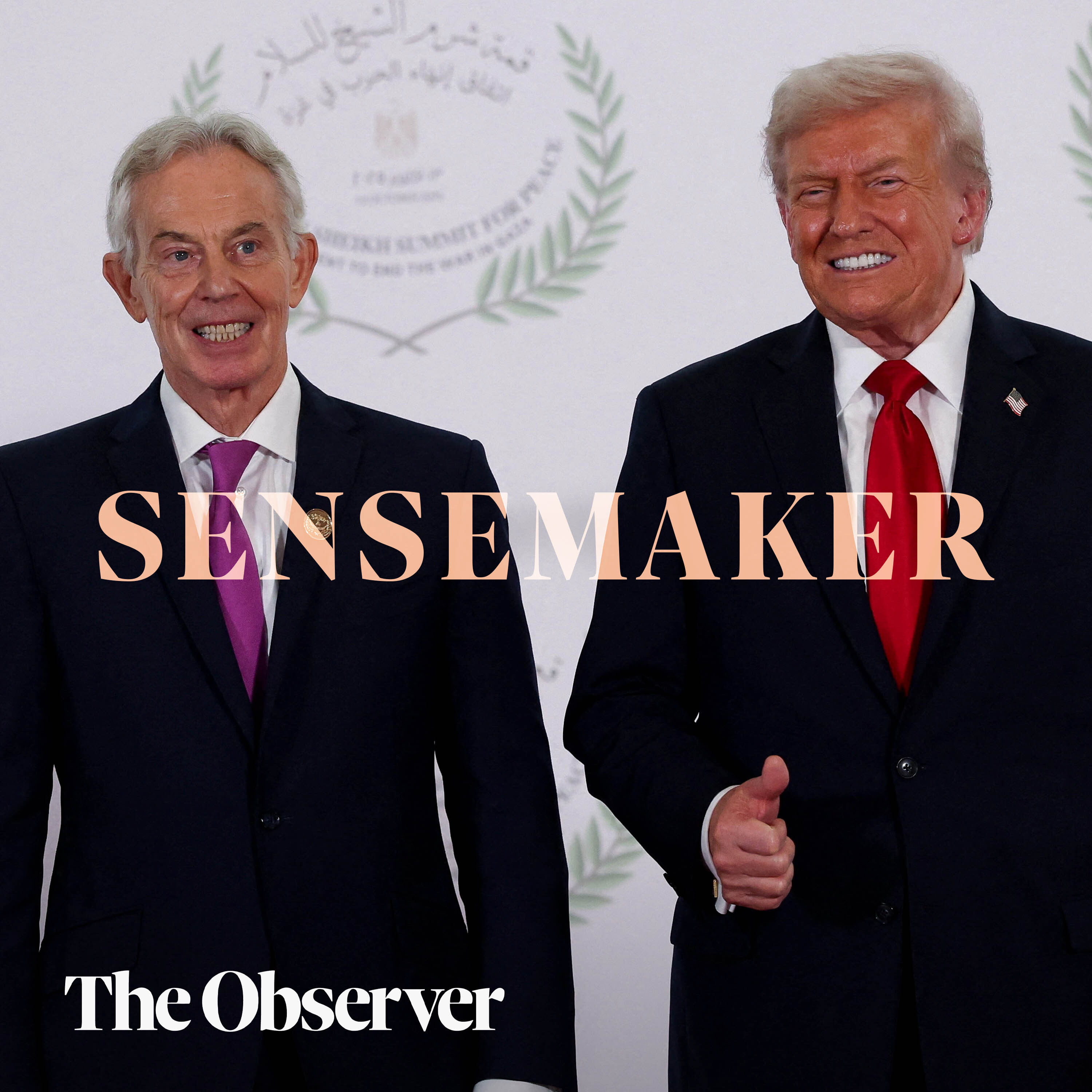 Daily Sensemaker