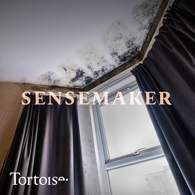 Britain’s mouldy homes