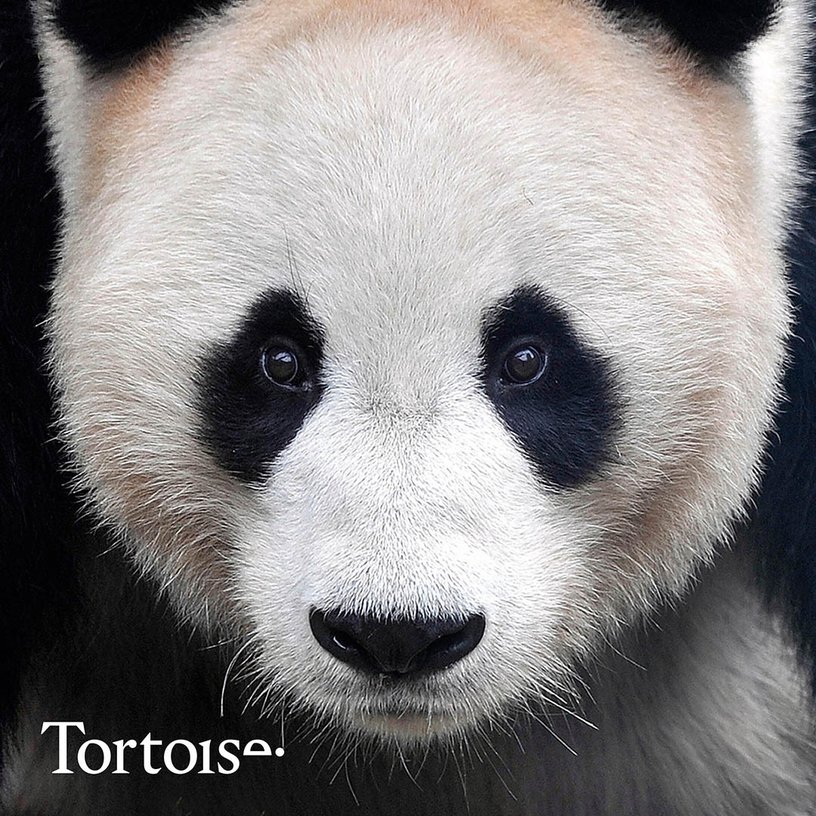 Edinburgh’s pandas head home