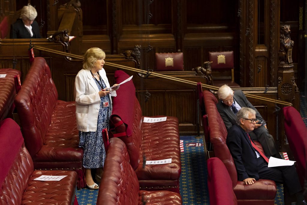 Lording it: some peers claim £400,000 for little discernible work