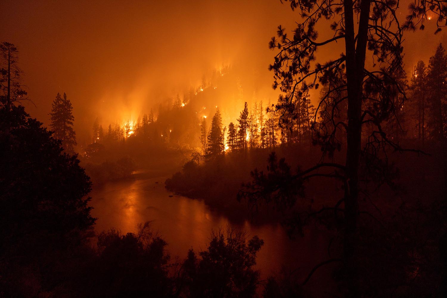Fire Weather: A True Story from a Hotter World