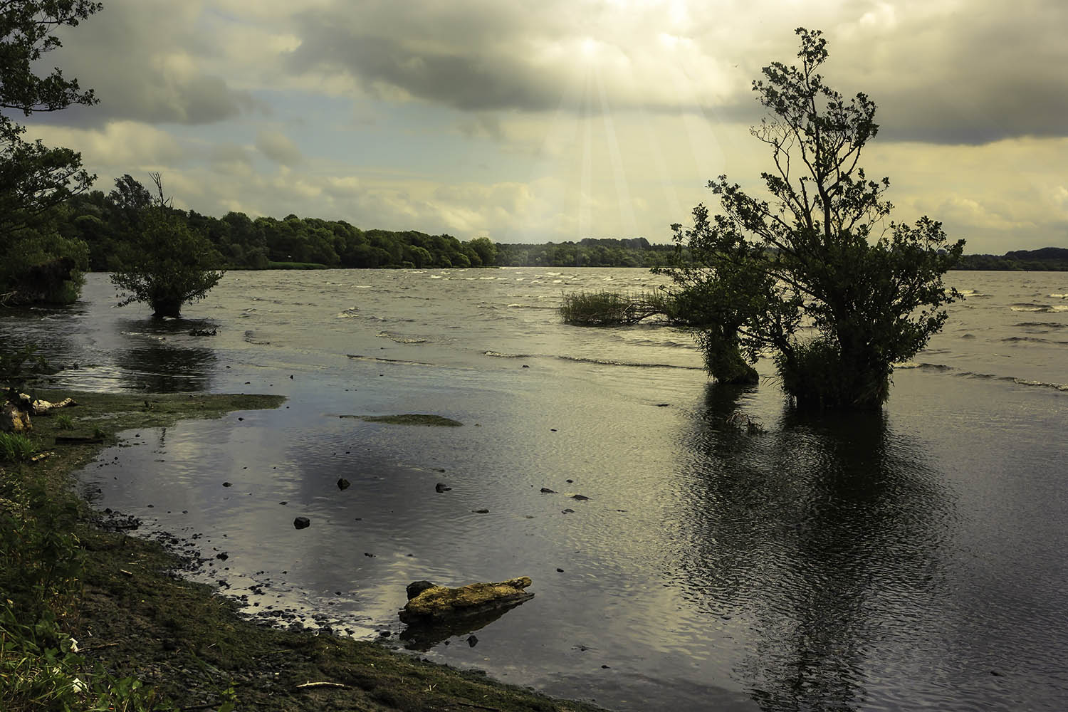 UK’s largest freshwater lake “at risk of ecosystem collapse”