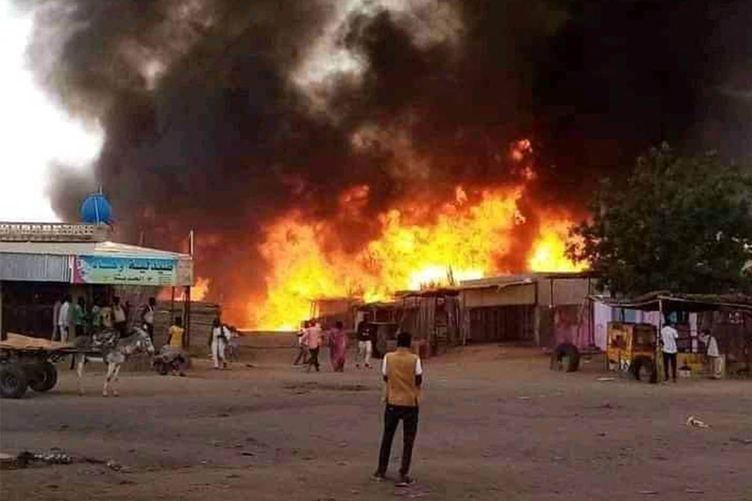 Over 10,000 killed in Sudan ethnic cleansing campaign