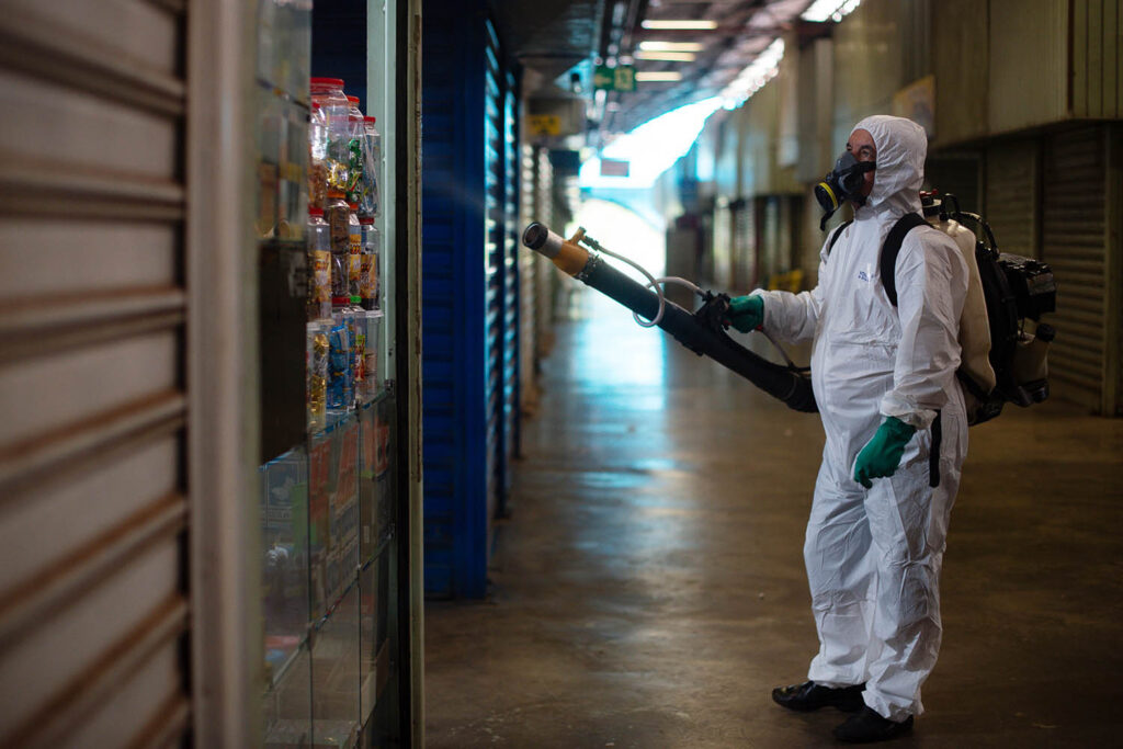 Dengue fever grips Argentina and Brazil