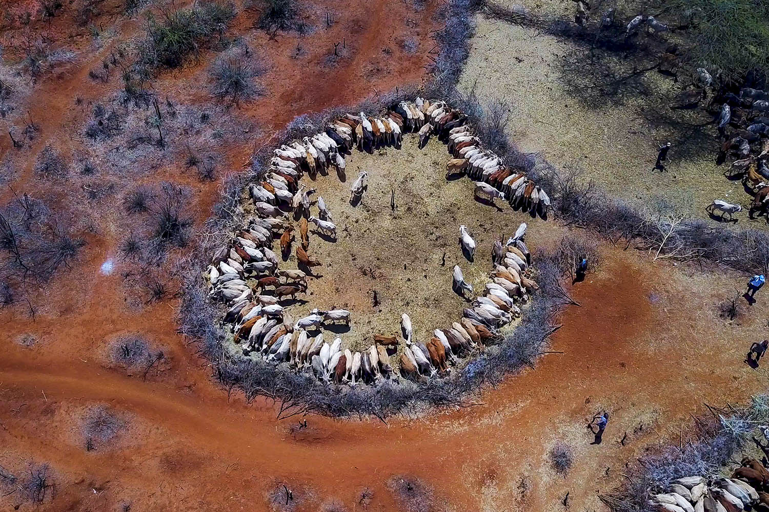 Africa dries up￼