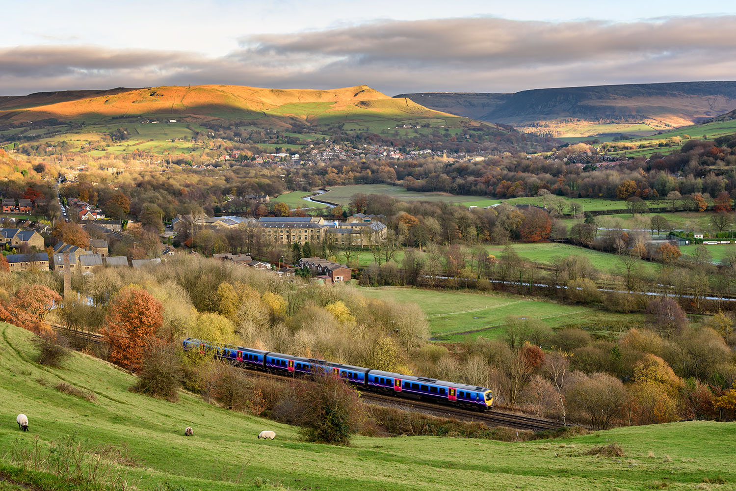 We are sorry to announce that Great British Railways is to run a reduced service
