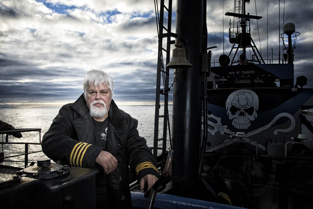 Paul Watson's whale war