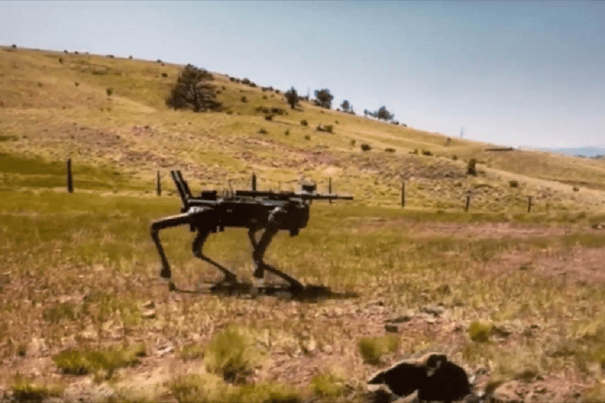 US Marines take robot dogs for a walk