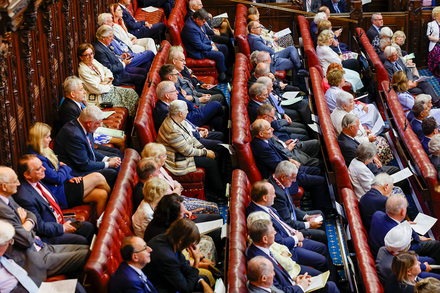 Revealed for the first time: details of peers’ shareholdings
