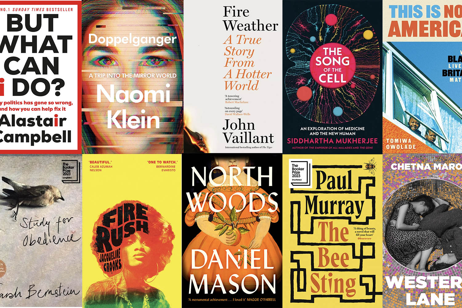 The Tortoise Top books to buy this Christmas