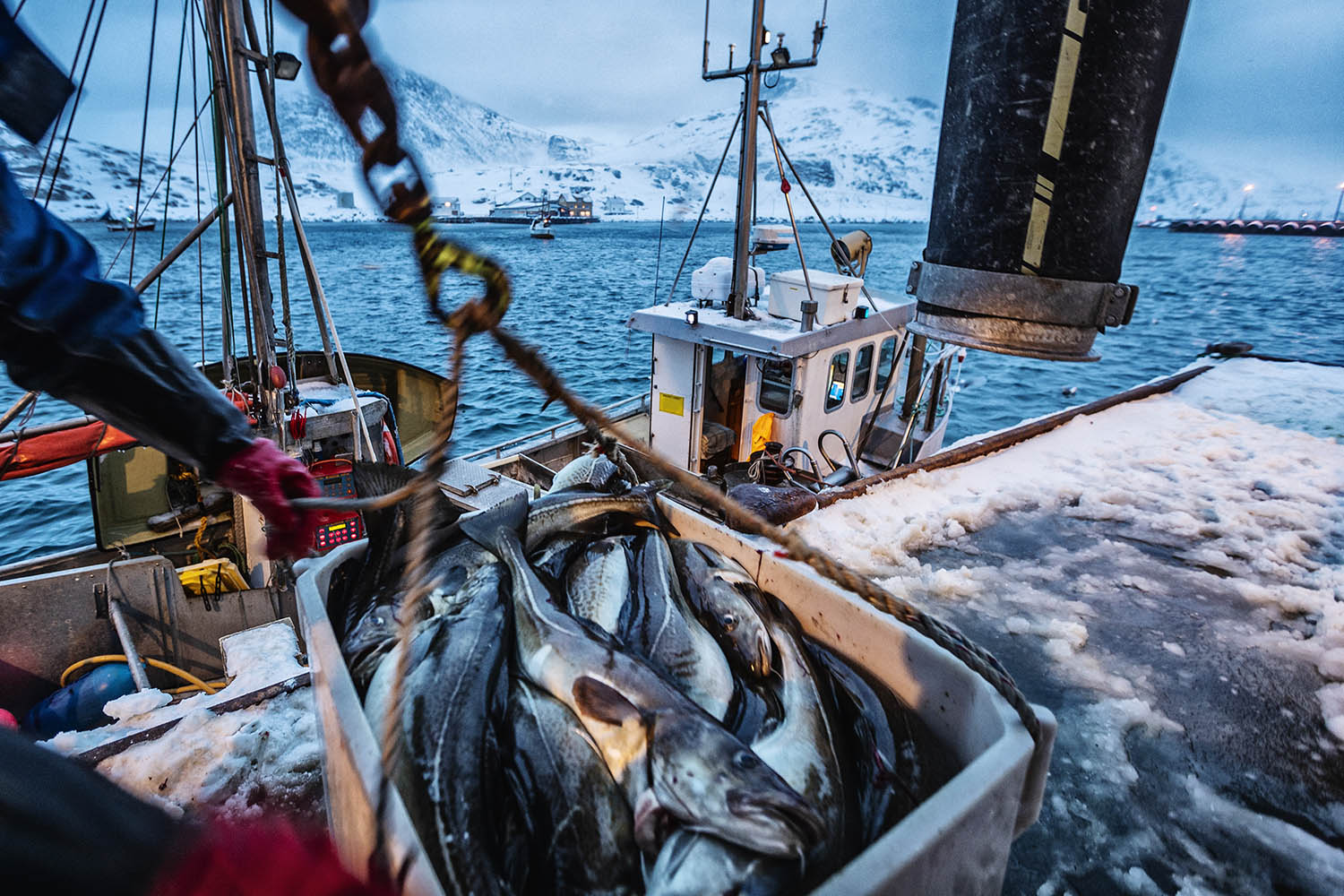 Norway’s deep sea