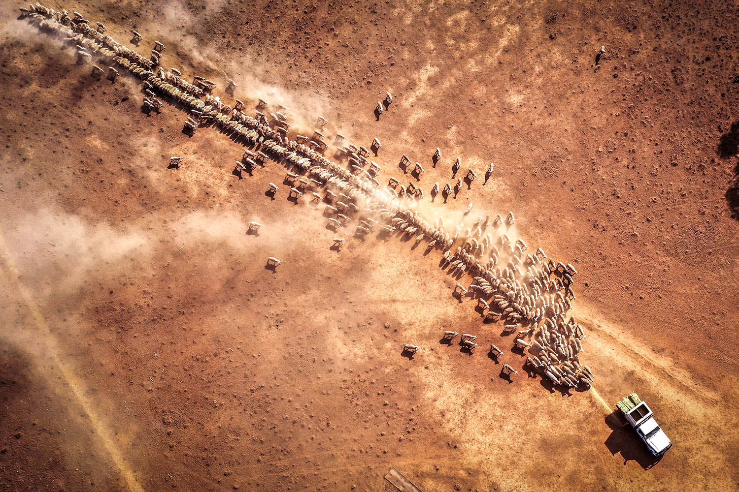 Earth’s life support systems are breaking down but there’s a plan to fix them