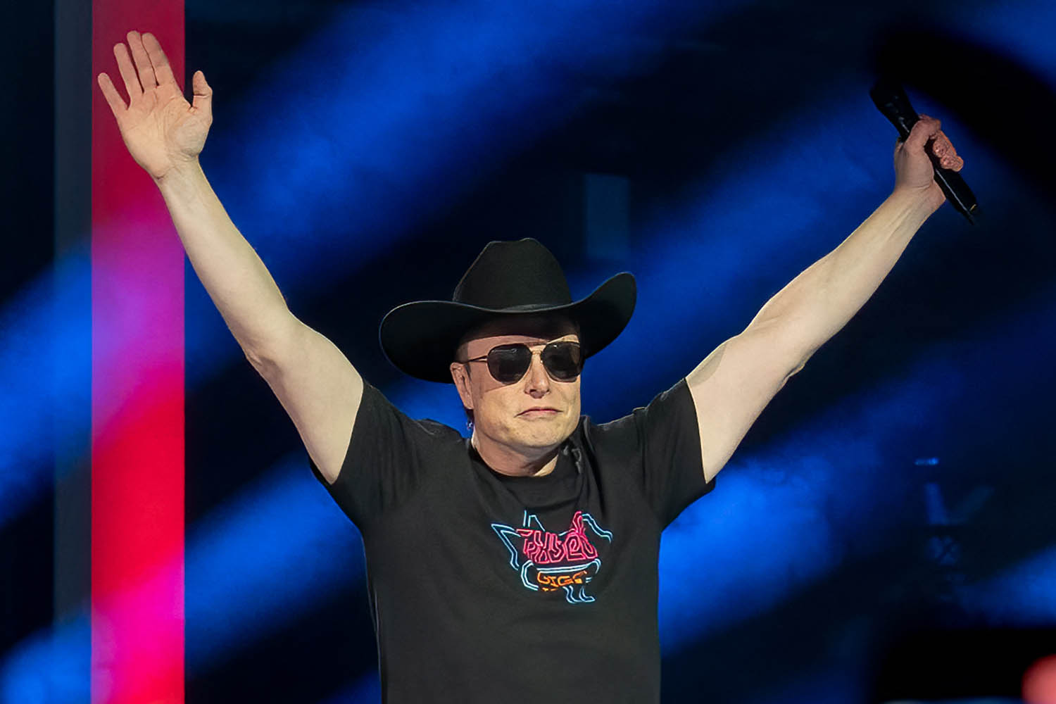 Tesla value: Musk the moron is a big factor