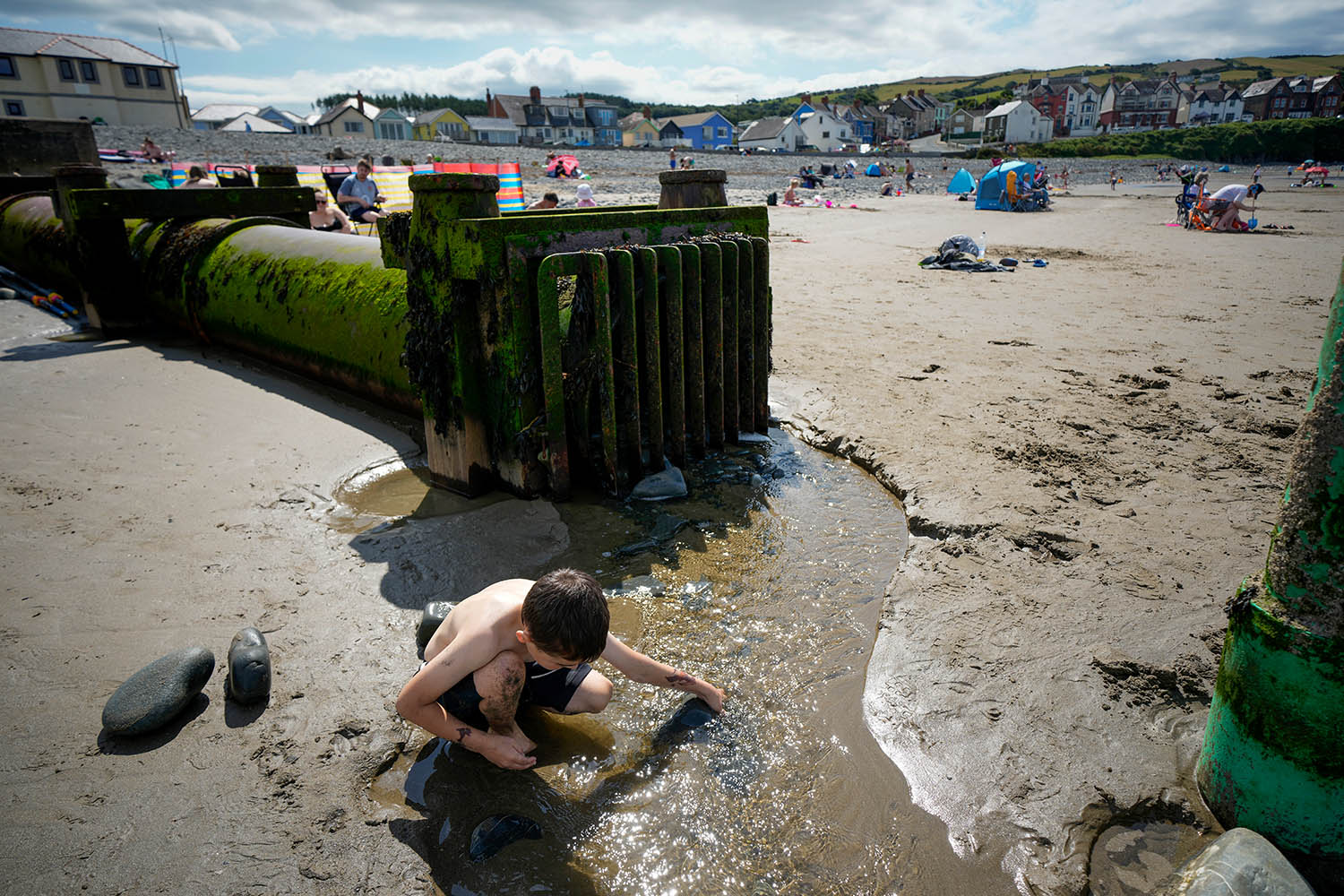 Welsh Water admits illegally spilling sewage near dolphin habitat