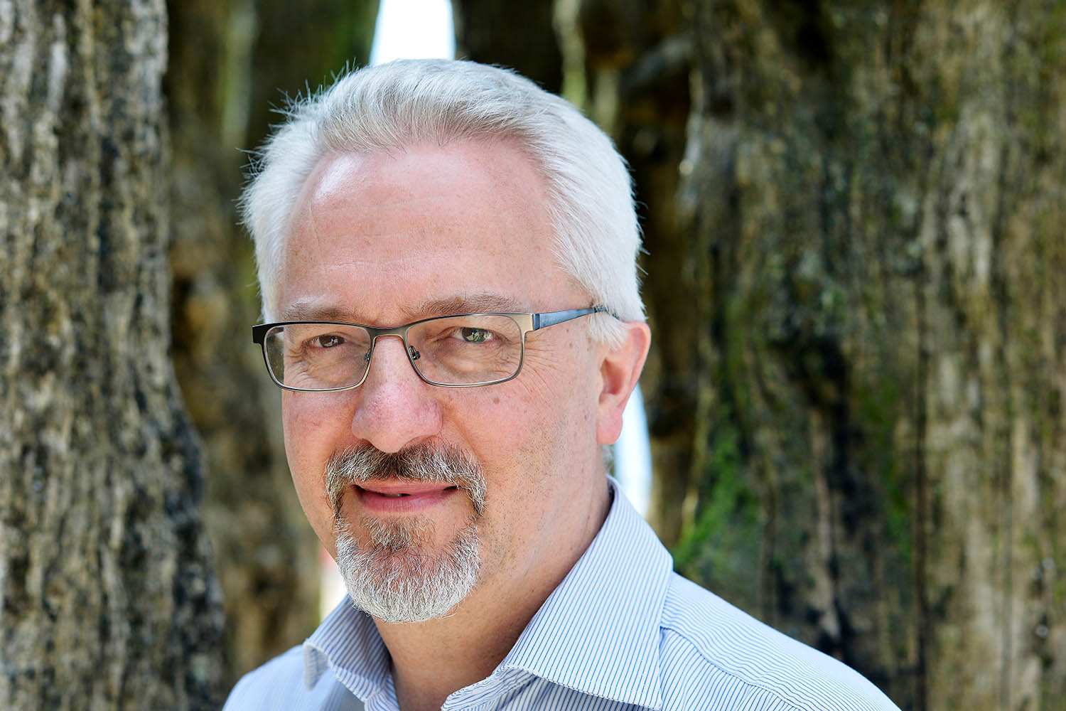 Our Evenings by Alan Hollinghurst: an exquisite story of a life approaching evening