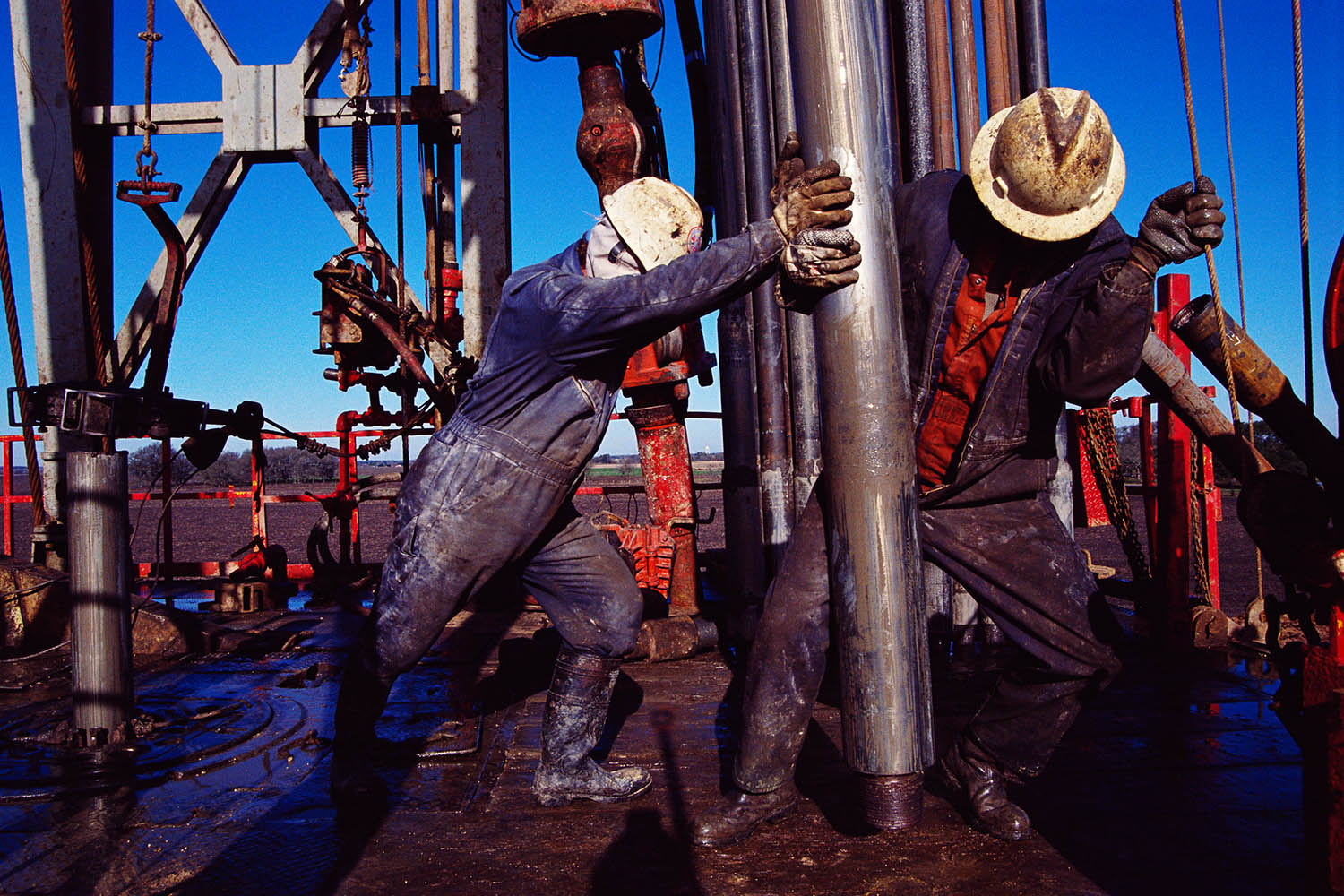 Despite everything, humans are consuming more oil than ever