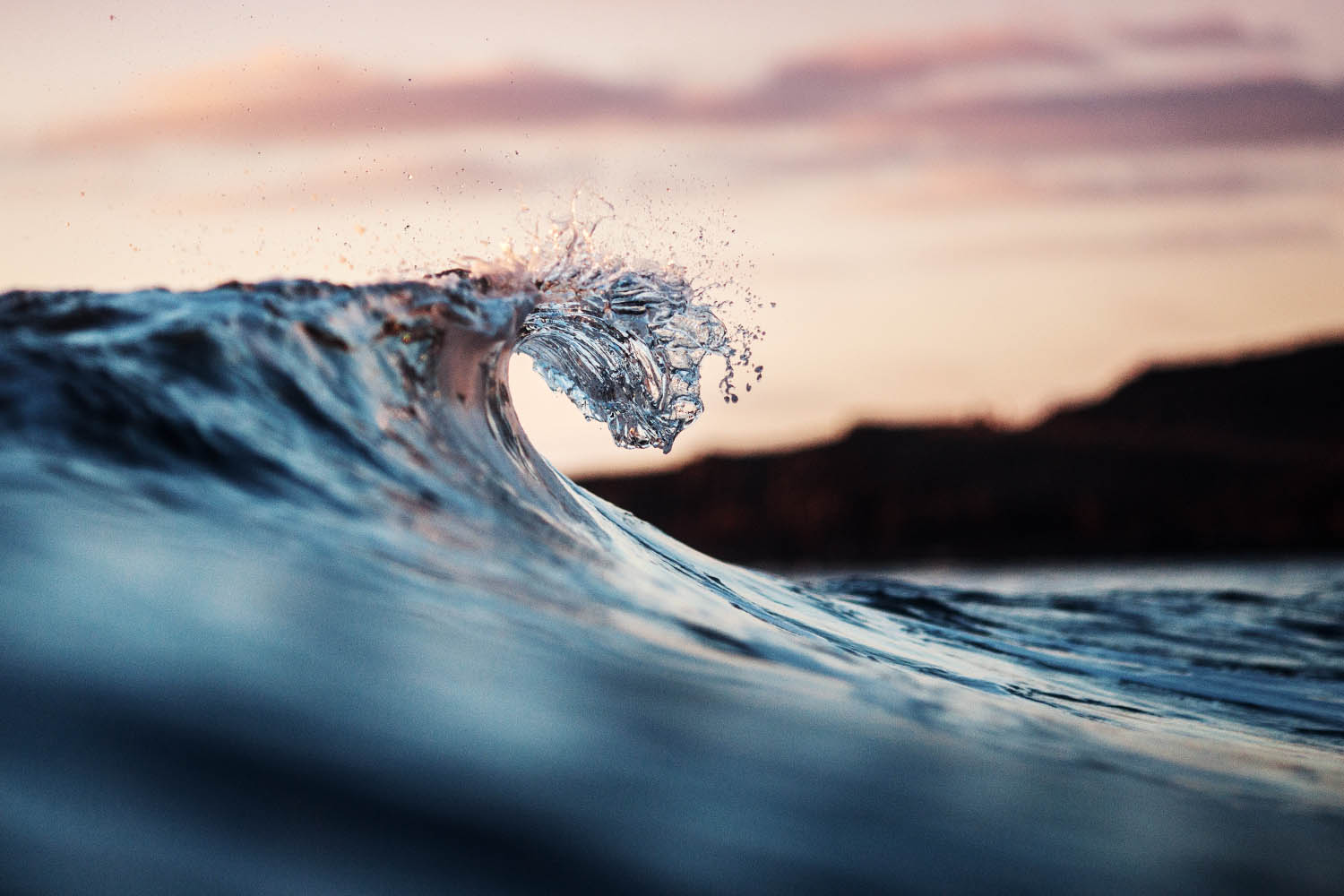 $50m for ocean carbon