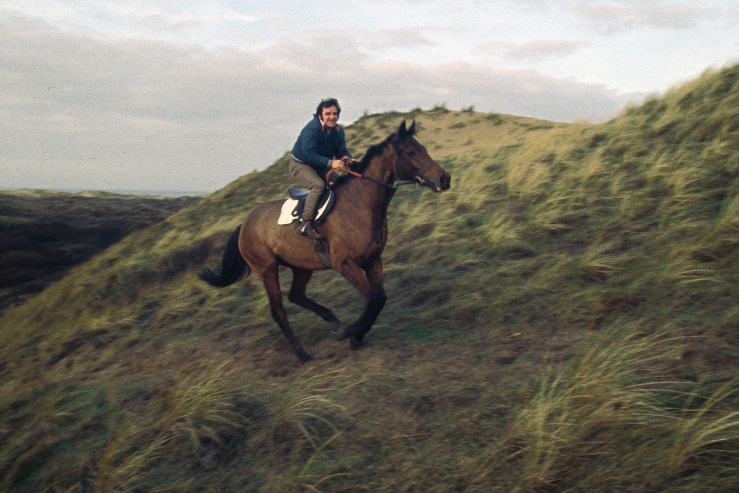 The horse who became an unlikely hero