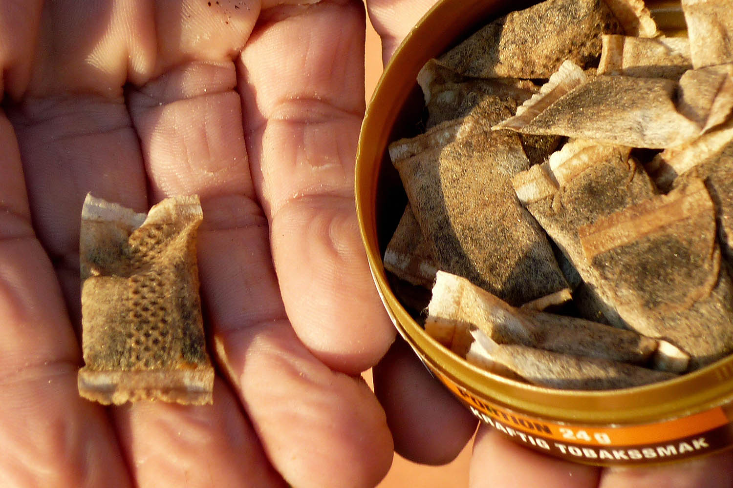 Schools warned of rise of “snus” nicotine pouches
