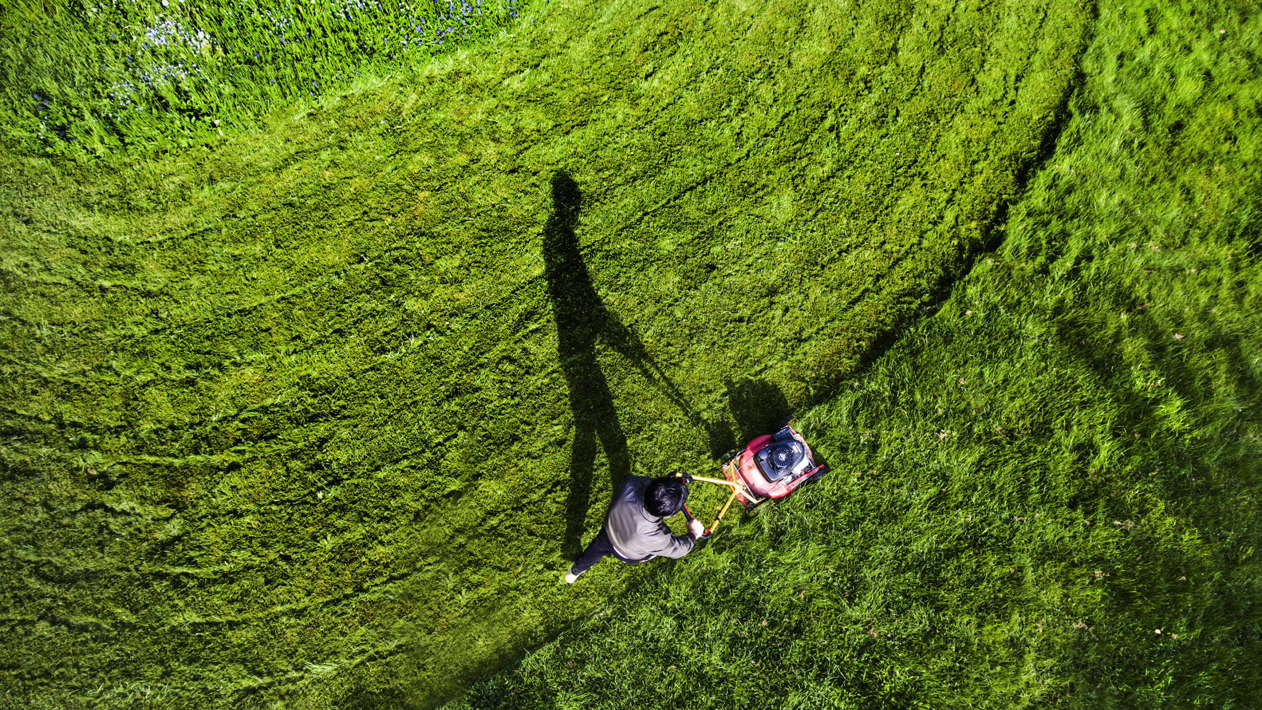 Much as you love to mow the lawn, let the grass grow